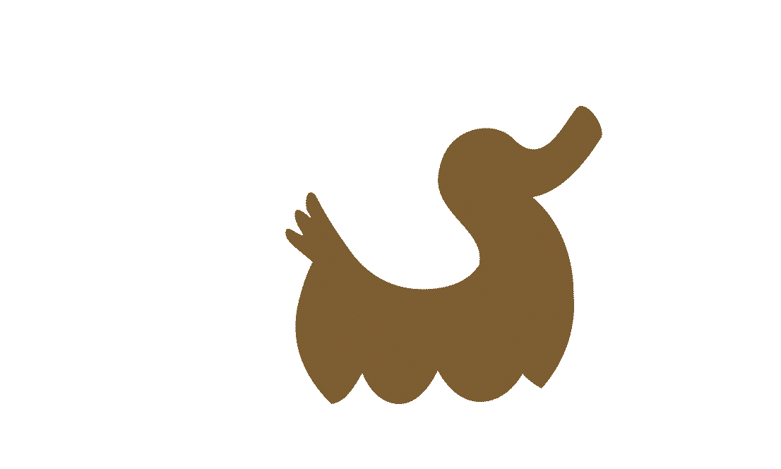 Swimming duck
